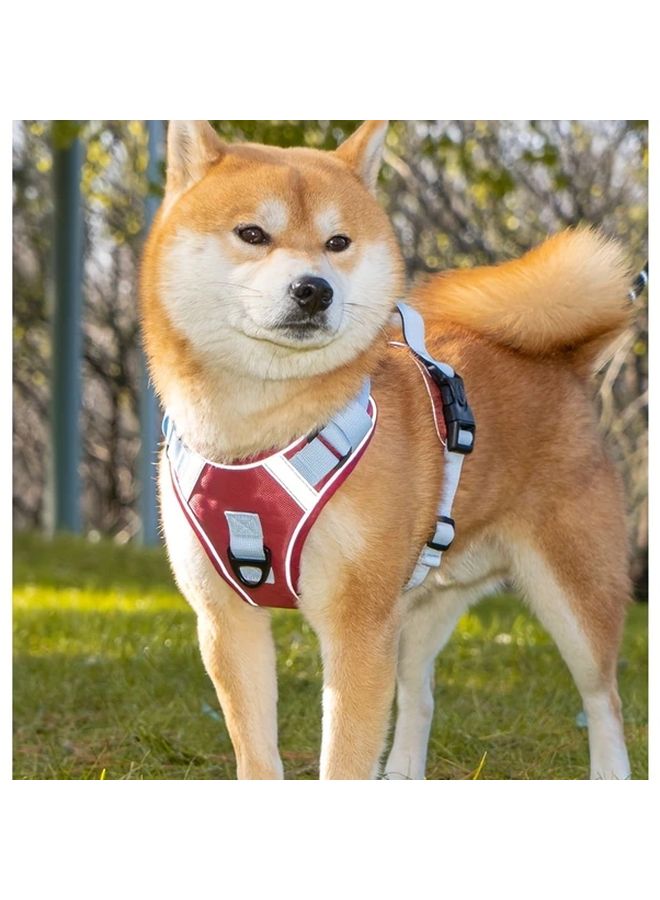 Earth Green XL قطعتين مجموعة صدرية للحيوانات الأليفة مع حبل مضاد للضياع أساسيات المشي للكلاب - Image 5